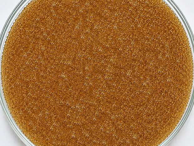 LEWATIT (ЛЕВАТИТ) MONO PLUS S100 / S108